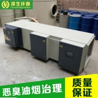 等離子光氧一體機voc廢氣處理設備工業(yè)有機氣體環(huán)保治理裝置