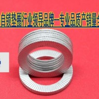 建筑工程機(jī)械專用雙疊自鎖墊圈【DIN25201】