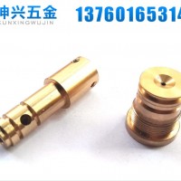 不銹鋼車(chē)件 自動(dòng)車(chē)床件 黃銅車(chē)件 CNC數(shù)控車(chē)床件