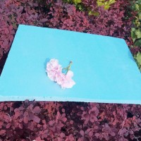 二氧化碳擠塑板環(huán)保節(jié)能擠塑板b1級(jí)阻燃擠塑保溫板 外墻擠塑板