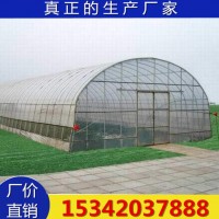 靈芝大棚種植 廠家供應靈芝種植塑料溫室大棚骨架專業(yè)設計安裝