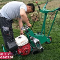 陜西延安汽油機(jī)動草場草坪移植機(jī) 手推式本田自走式起草皮機(jī)