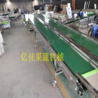 龍眼分果機 實用小型水果分揀選果機