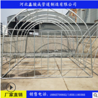 各種型號(hào)包塑鍍鋅管 大棚管 可加工折彎縮頭 免費(fèi)提供圖紙