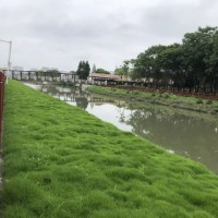 生態(tài)混凝土-綠化混凝土-植生混凝土-植被砼-生物基質混凝土