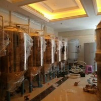 飯店啤酒設(shè)備100L-5000啤酒設(shè)備廠家自動化啤酒設(shè)備