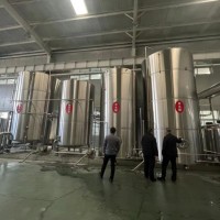 年產(chǎn)量10萬噸啤酒廠釀酒設(shè)備 全自動(dòng)化啤酒設(shè)備生產(chǎn)廠家