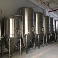 酒店精釀啤酒設(shè)備 小型啤酒設(shè)備有哪些配置小型啤酒設(shè)備價(jià)格