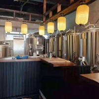 湖南餐飲酒店啤酒設(shè)備 小型精釀啤酒設(shè)備價(jià)格 啤酒設(shè)備配置