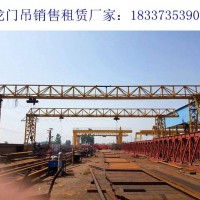 浙江麗水龍門(mén)吊租賃廠家門(mén)式起重機(jī)戶(hù)外使用