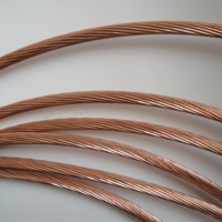 銅包鋼絞線(xiàn)出售「聯(lián)勝智能科技」/湖北/湖南/甘肅