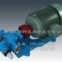 山東不銹鋼齒輪油泵定制_泊頭特種泵-零售KCB齒輪泵