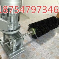 電動(dòng)清掃器生產(chǎn) GQS皮帶清掃器 帶電機(jī)減速機(jī)